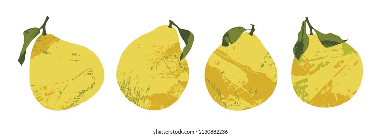 Juicy pomelo, pummelo. Fresh citrus fruit, healthy organic food. Ripe yellow fruits with leaves. Vector flat cartoon botanical illustration