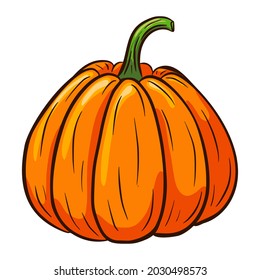 Juicy Pumpkin Illustration. Autumn Food Icon. Ripe squash sketch. Element for autumn decorative design, halloween invitation, harvest, sticker, print, logo, menu, recipe