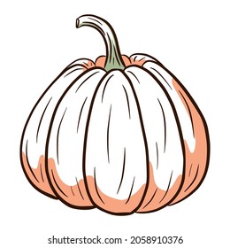 Juicy Pumpkin Image. Autumn Food Illustration. Ripe squash sketch. Element for autumn decorative design, halloween invitation, harvest, sticker, print, logo, menu, recipe.