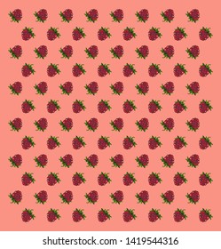 Juicy raspberries  pattern. Berries icon drawing Vector