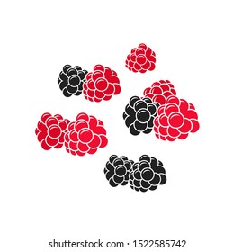 Juicy raspberry and blackberry. Vector illustration EPS10. Isolated raspberries and blackberries on white background. Fresh fruit. Healthy food  