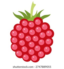 Juicy Raspberry Close up of a Perfectly Ripe and Tempting Berry, Isolated on White