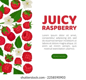 Juicy Himbeerlandungsseite. Frischfrische Bio-Reifenbeeren, gesunde natürliche organische Webbanner-Vorlage mit Platz für Textcartographie-Vektorgrafik