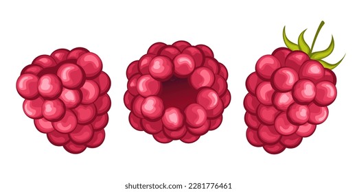 juicy raspberry with leaf vector illustration. Raspberry icon clipart. Raspberry cartoon.Sweet food. Realistic vector illustration.