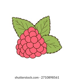 Framboesa suculenta com folhas de hortelã em um fundo branco. Ilustração vetorial em um estilo de desenho animado plano. Adequado para design de embalagens, rótulos, têxteis e para a criação de padrões