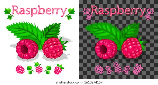 Juicy raspberry, text and icon. Natural vegetarian product, farmers market, packaging element. Fill on white background, on another gradient. White background transparent in EPS. Vector illustration.