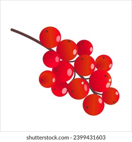 Juicy red berries on a branch for Christmas decor. Vector volumetric drawing