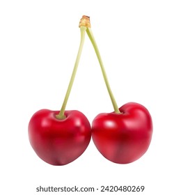 Juicy red cherry on a white background. Vector illustration