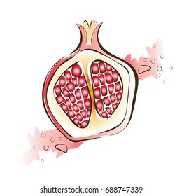 Juicy red garnet. Vector illustration, isolated on white background.