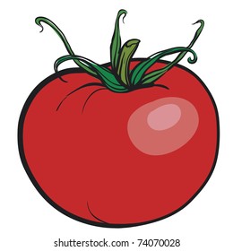 Jugoso tomate rojo. Una verdura fresca