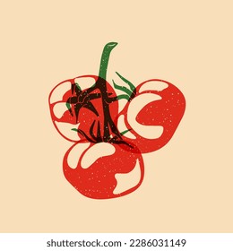 Juicy red tomato. Vector illustration with Riso print effect