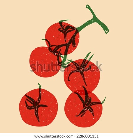 Juicy red tomato. Vector illustration with Riso print effect