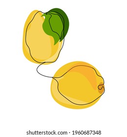 Juicy, ripe, appetizing quince. Vector image. Will be a pleasant decoration for kitchen design, menu, banner.