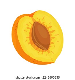 Juicy reife Aprikosenfrüchte.Vektorgrafik.
