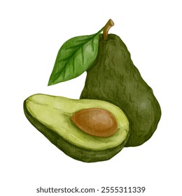 Juicy ripe avocado fruits and healthy berry pieces.Vector graphics.