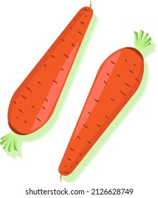 Juicy Ripe Carrot Fresh Vector Illustration