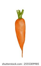 Juicy ripe carrot root vegetables.Vector graphics.