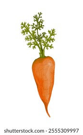 Juicy ripe carrot root vegetables.Vector graphics.