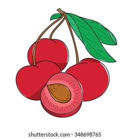 juicy ripe cherry on a white background