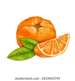 Frutos cítricos maduros e suculentos de laranja com folhas verdes. Gráficos vetoriais.