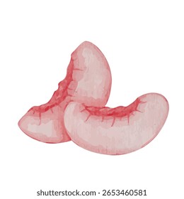 Suculenta fruta madura de pêssego, nectarina. Gráficos vetoriais.