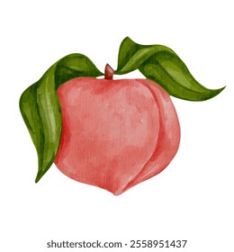 Juicy, ripe fruits of peach, nectarine. Vector graphics.