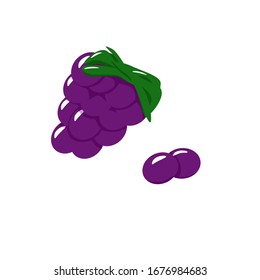 juicy ripe grapes, Isabella, kishmish, viticulture, winemaking, maturation, vineyards, isolated on a white background, sweet, tender, delicate, delicious