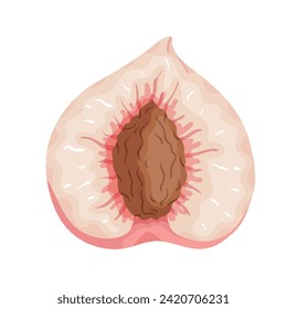 Juicy, ripe half of the fruit of a peach, nectarine.Vector graphics.