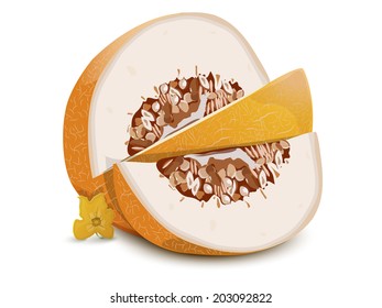juicy ripe melon with a cut piece on a white background