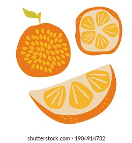 Juicy ripe orange, half and whole delicious fruit with seeds. Design for textiles, labels, posters. Vector hand draw illustration isolated on white background. 