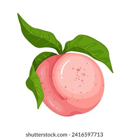 Juicy, ripe peach fruit. Vector graphics.