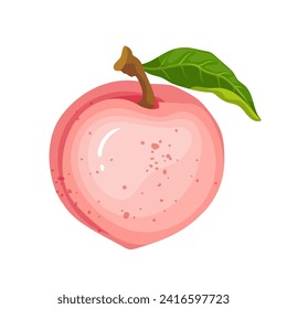 Juicy, ripe peach fruit. Vector graphics.