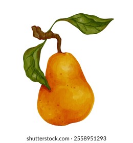 Juicy, ripe pear fruits. Vector graphics.