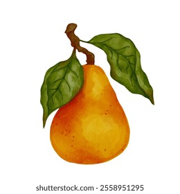 Juicy, ripe pear fruits. Vector graphics.