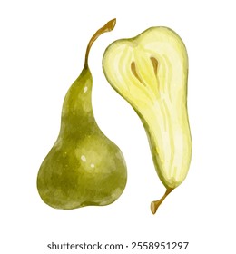 Juicy, ripe pear fruits. Vector graphics.