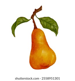 Juicy, ripe pear fruits. Vector graphics.