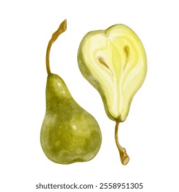 Juicy, ripe pear fruits. Vector graphics.