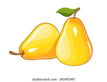 Juicy ripe pear. Vector illustration. Isolated white background. Transparent objects used for lights and shadows drawing