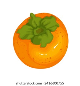 Juicy ripe persimmon fruit. Vector graphics.