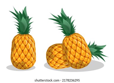 Juicy ripe pineapple, ananas. Harvesting tropical fruits. Cartoon realistic vector isolated on white background