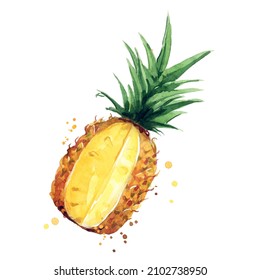 juicy ripe pineapple watercolor ilustration