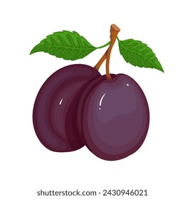 Juicy ripe plum fruit. Vector graphics.