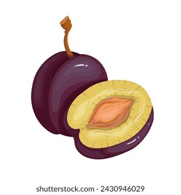 Juicy ripe plum fruit. Vector graphics.