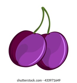 Juicy, ripe plums on a white background with a branch. Close up. Vector image.