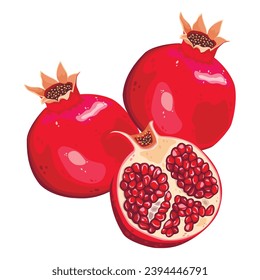 ilustración vectorial de fruta madura jugosa granada. Fondo blanco aislado. 