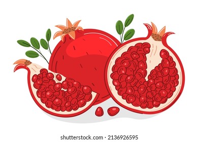 
Juicy ripe pomegranate fruit whole, half and seeds with green leaves. Design element for cosmetics, spa, pomegranate juice, healthcare products, perfumes, for product packaging, menu design or print