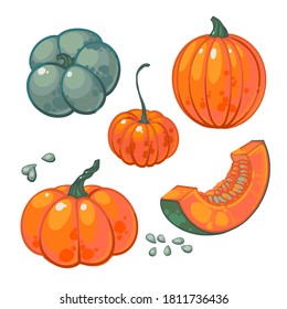 Juicy ripe pumpkins, hand drawn vector illustration isolated on white background. Set of orange pumpkins, green pumpkin, seeds and Slice of pumpkin. Fresh cartoon vegetable. Seasonal Autumn harvest