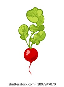 12,449 Cartoon radish Images, Stock Photos & Vectors | Shutterstock