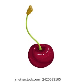 Jugosa, cereza roja madura. Gráficos vectoriales.