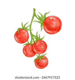 Juicy, ripe red tomato vegetable. Vector graphics.